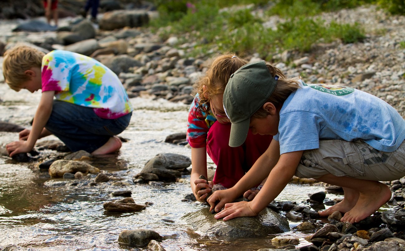 Children play at Denali National Park