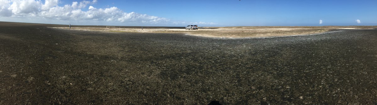 Blackened earth where a wetland used to be. Blackened earth where a wetland used to be.