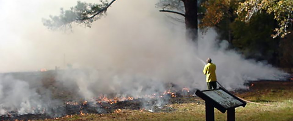 Reestablishing the natural fire regime was a critical step in restoring a wet pine savanna at Moores Creek National Battlefield, North Carolina