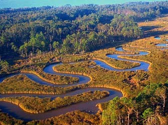 An aerial view of a river meandering through a golden field