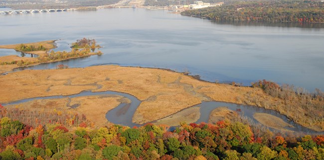 Dyke Marsh a wetland area along a shoreline in an urban area during the fall