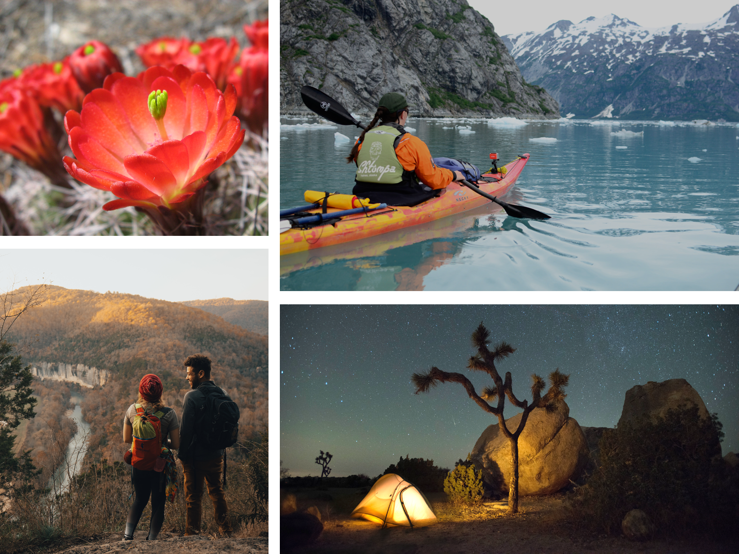 Collage of wilderness photos including a flowering cactus, hikers on a bluff, a kayak in a bay, and a tent illuminated by a lantern..