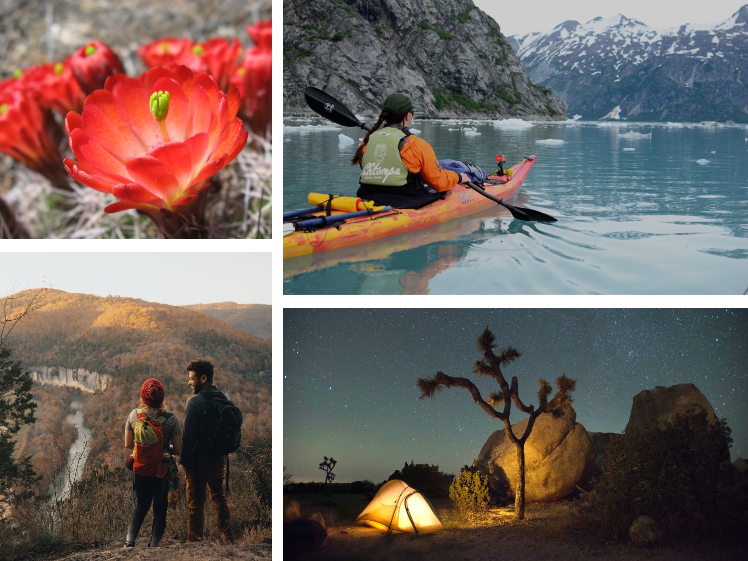 Photo collage. Collage of wilderness photos including a flowering cactus, hikers on a bluff, a kayak in a bay, and a tent illuminated by a lantern..