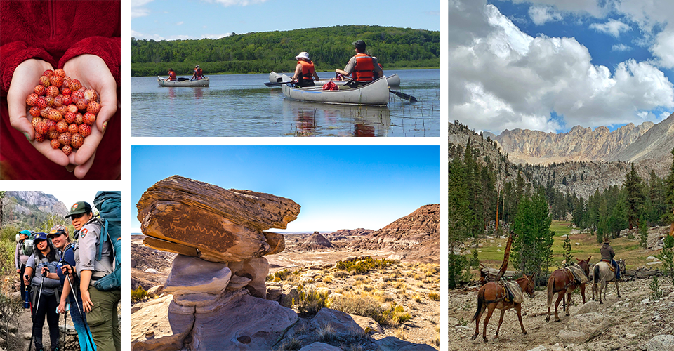 Collage of images featuring people in different wilderness areas.