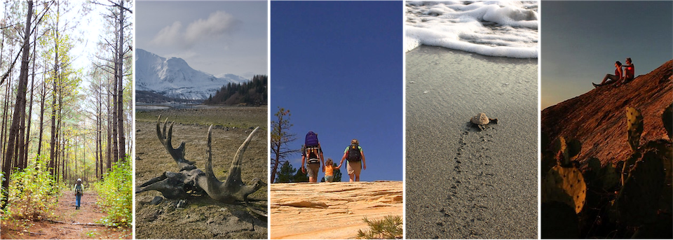 Image collage Collage of wilderness images, showcasing individuals, groups, and wildlife.