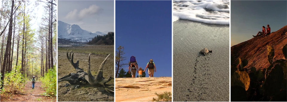 Image collage Collage of wilderness images, showcasing individuals, groups, and wildlife.