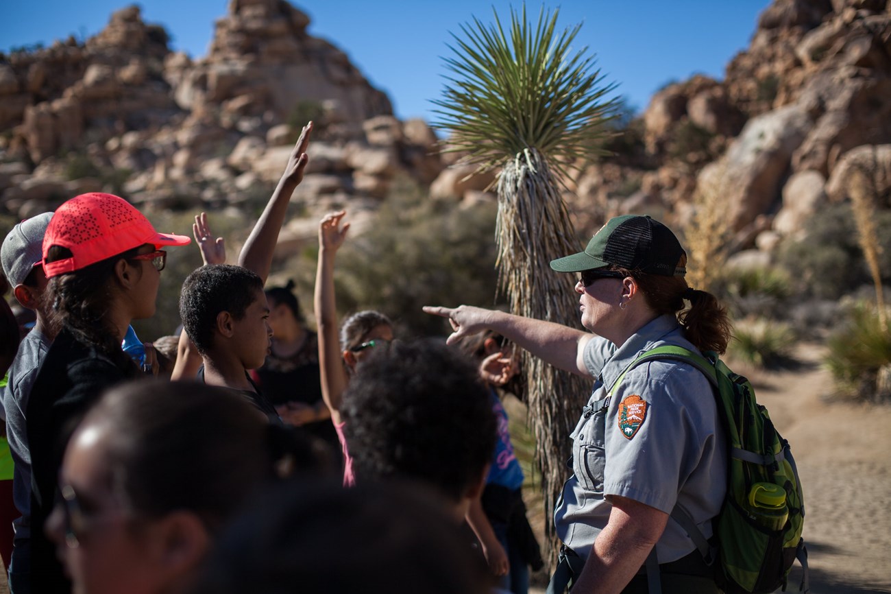 Park staff talk with wilderness visitors.