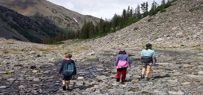 A family walks along a wilderness creek.