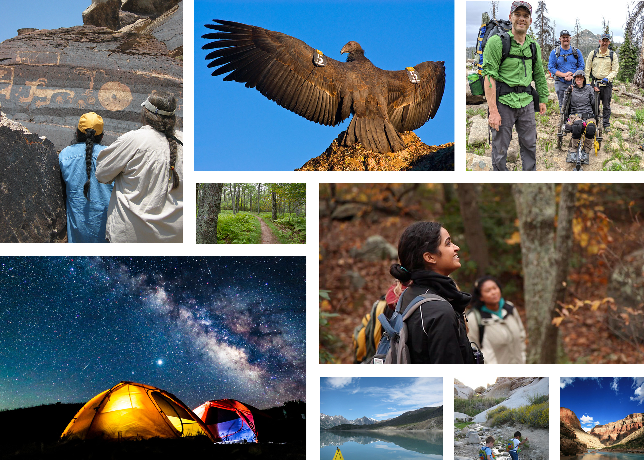 Collage of images featuring people and wildlife in different wilderness areas.