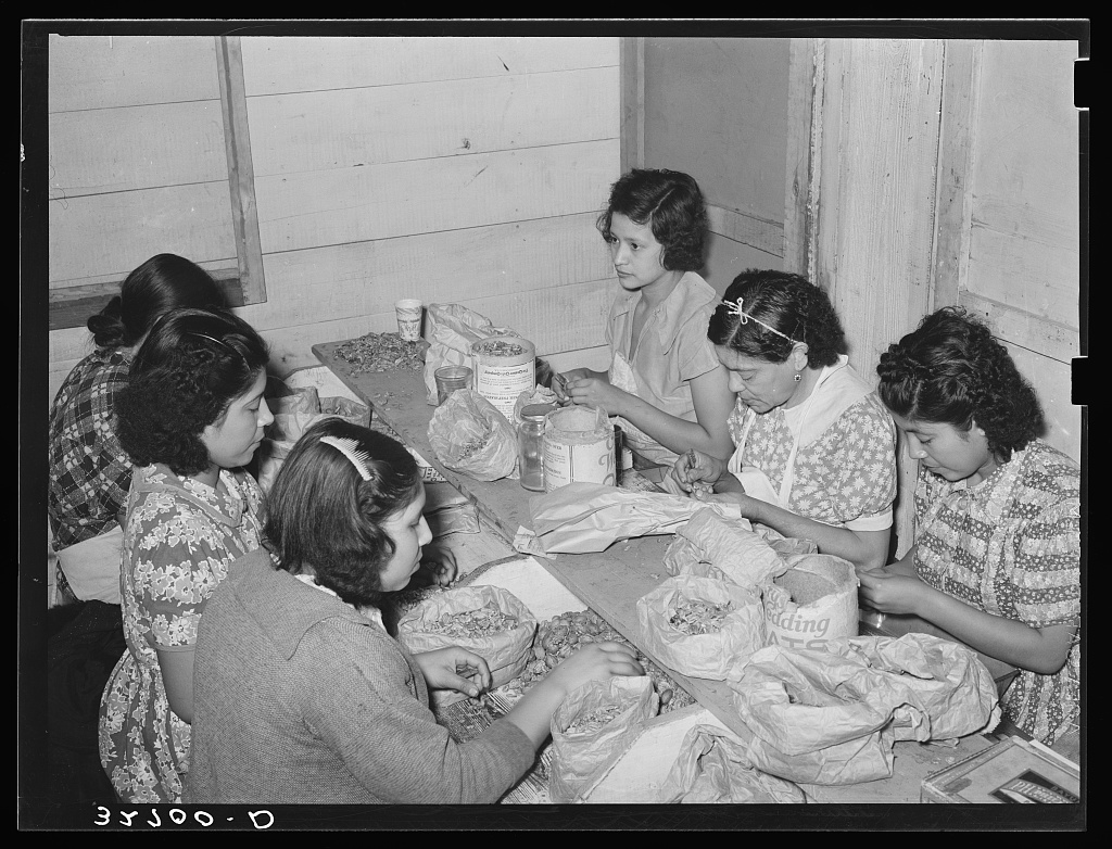 Six women sit at a table with bags of nuts and shells in front of them.