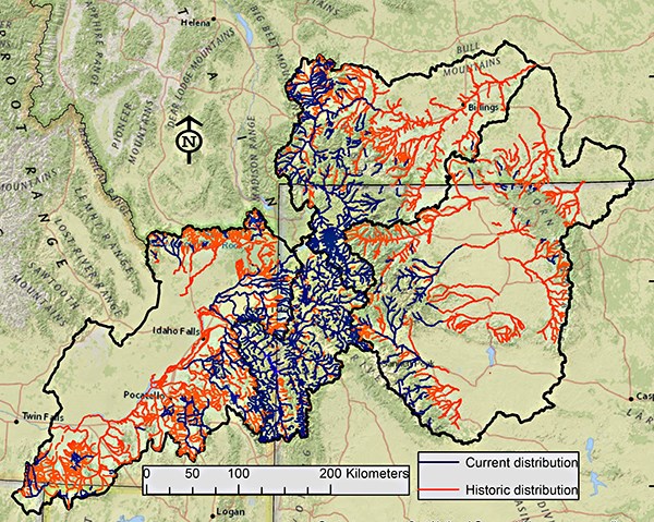 Status & Conservation of Yellowstone Cutthroat Trout in the GYE (U.S