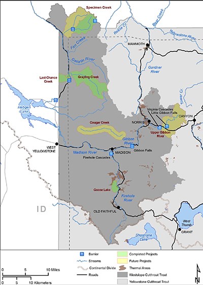 Figure 1. Arnold