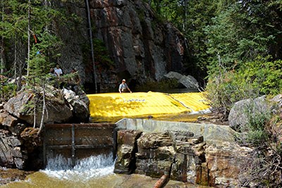 Grayling Barrier Grayling Creek Carrier