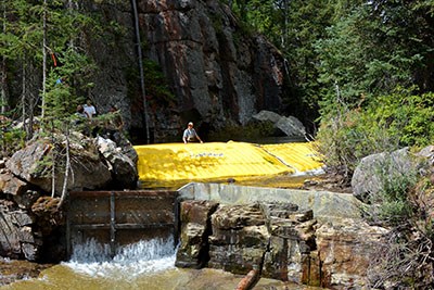 Grayling Creek Carrier