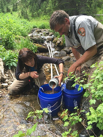 Fertilized westslope cutthroat trout eggs in Grayling Creek Fertilized westslope cutthroat trout eggs in Grayling Creek