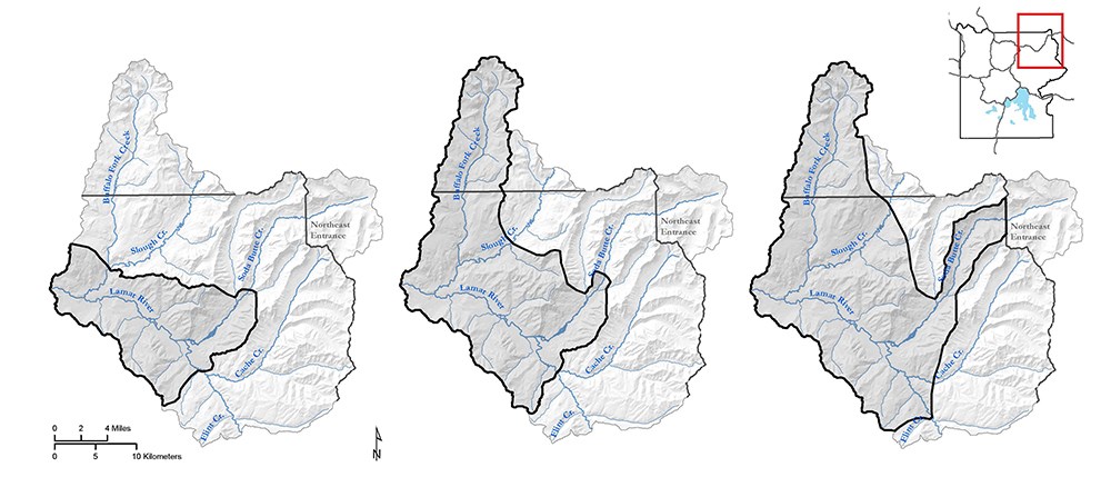 Figure 2 Progression of non-native rainbow trout genetics through time.