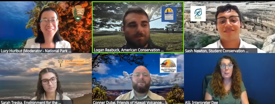 Screenshot of a panel discussion