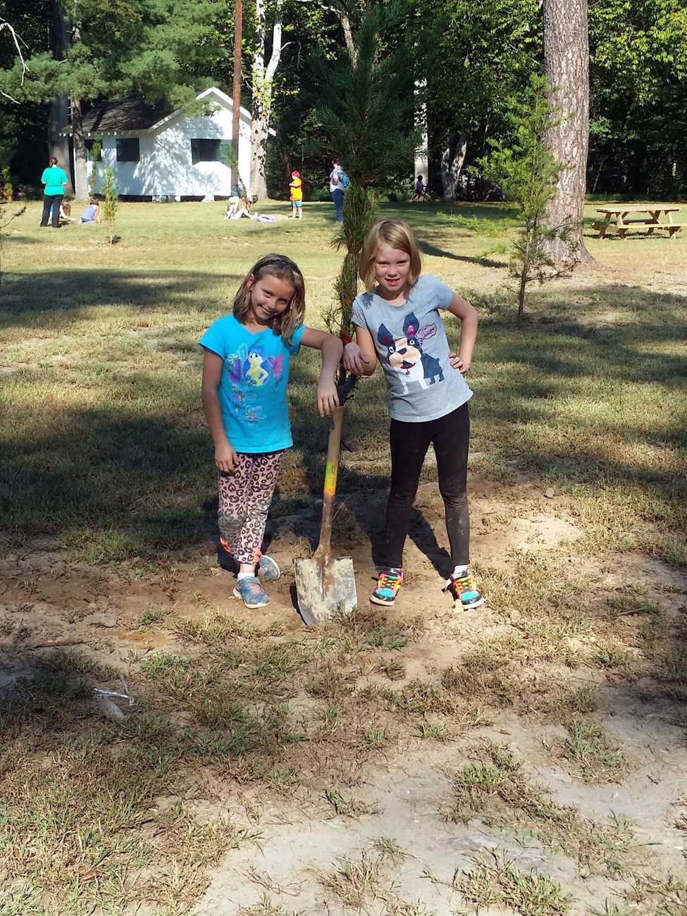 Girl Scouts planting a tree.