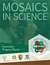 report cover