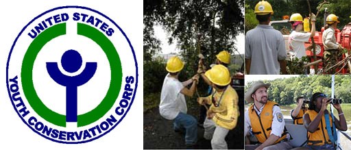 YCC - Work, Learn, Play, and Grow YCC