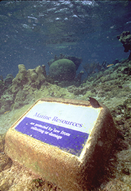 Plaque along the underwater snorkle trail, Buck Island Reef National Monument