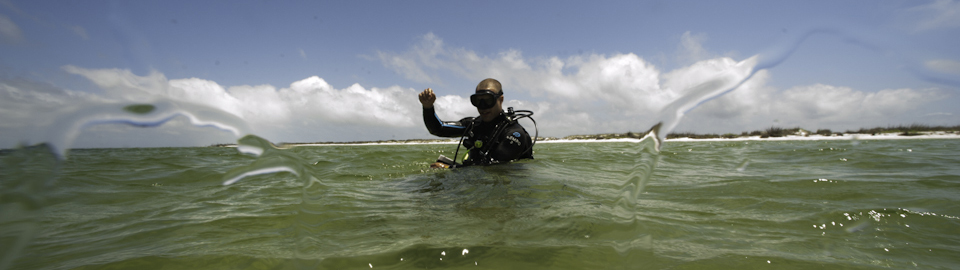 Divers Surfacing