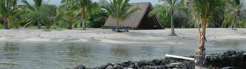 Traditional Hawaiian Structure