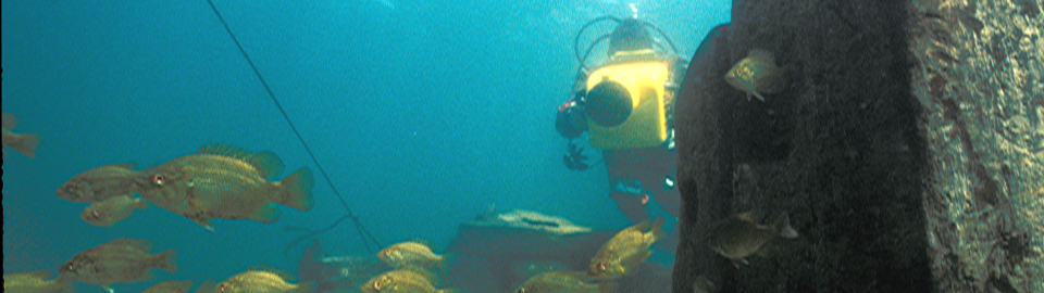 Vintage image of diver with videocamera