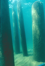 Old Dock Pilings, Sleeping Bear National Seashore