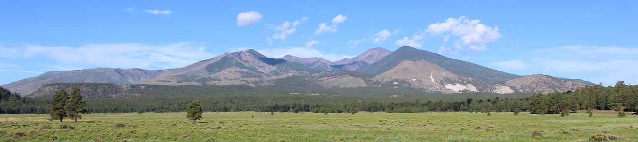 Panoramic image of tall grey mountains above a green field with a blue sky