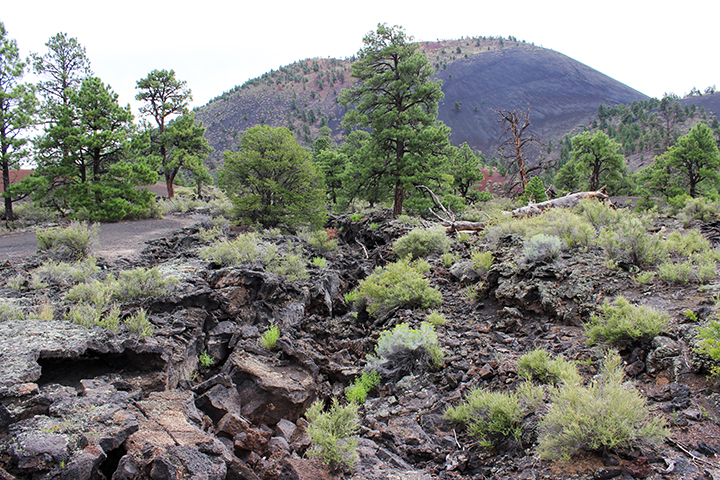 Geology - Sunset Crater Volcano National Monument (U.S. National