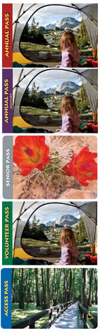 FLAG_vert-passes FLAG_vert-passes