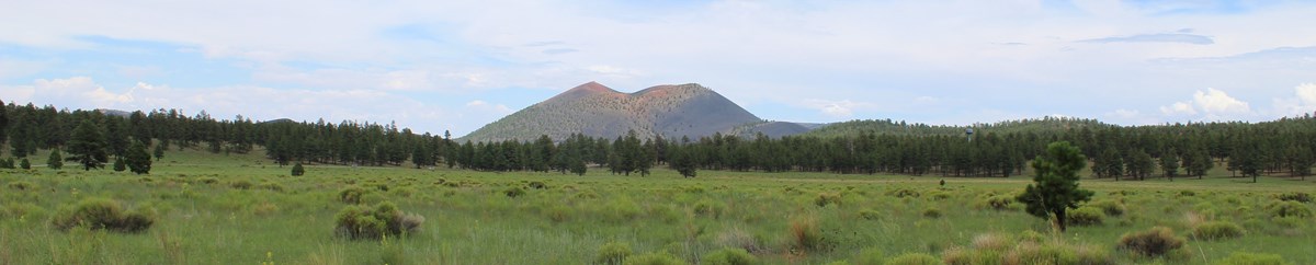 A red and black cinder cone stands above a green meadow with trees in the background