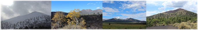 SUCR_hours-and-seasons-image SUCR_hours-and-seasons-image