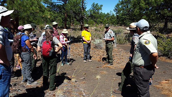 Park rangers and volunteers stand talking in a volcanic landscape surrounded by lava and pine trees