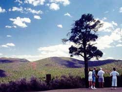 Visitors admiring view from overlook Visitors admiring view from overlook