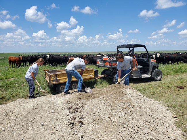 YCC trail work crew making repairs to the over 40 miles of hiking trails at the preserve.