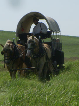 wagon rides during special events