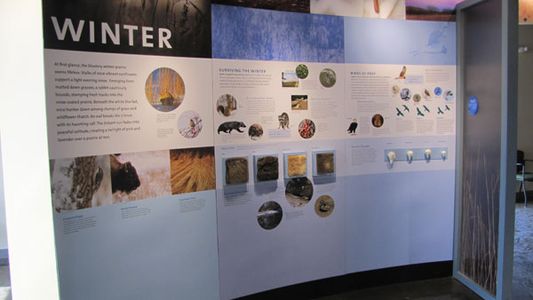 exhibits inside the visitor center