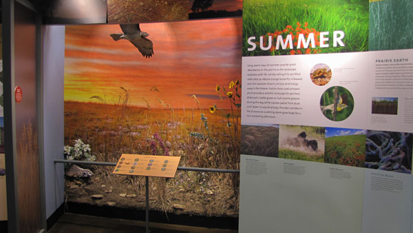 exhibits inside the visitor center