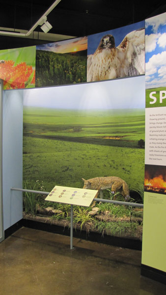 exhibits inside the visitor center