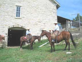 cowboys heading for the barn