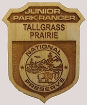 Jr Ranger wooden badge