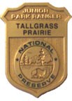 jrbadge_2.jpg jr badge