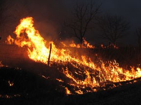 fire at night fire at night