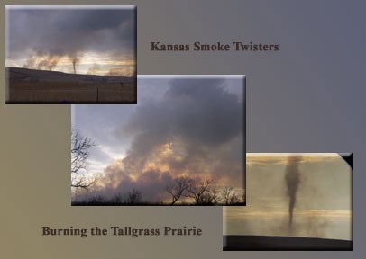 fire twisters