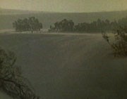 The prairie landscape during  a period of drought.