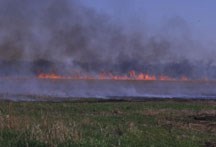 prairie burning prairie burning