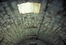 chicken coop skylight