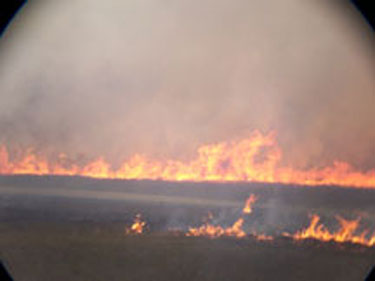 Fire line